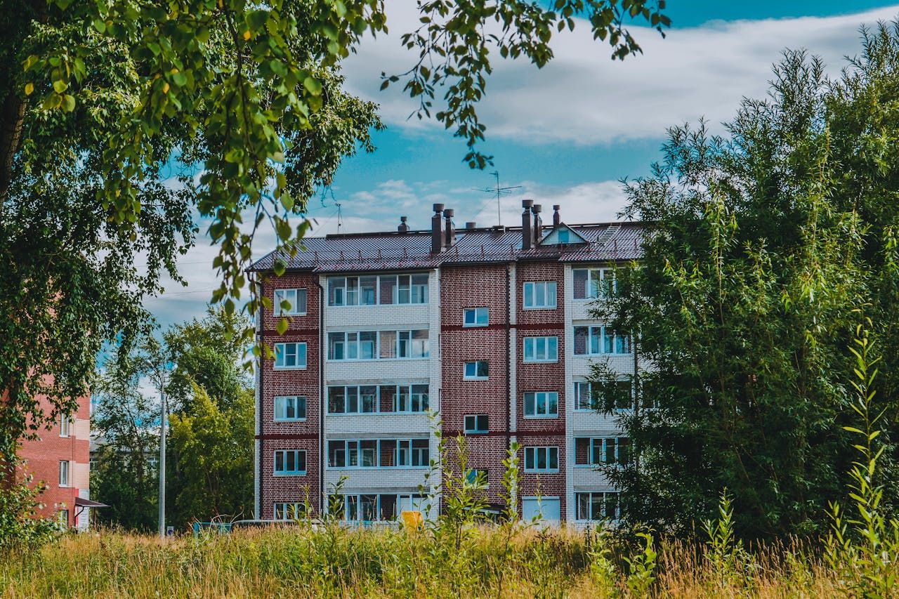 jaka kara za niszczenie zieleni