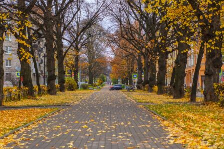 utrzymanie zieleni Wrocław