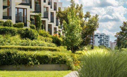 sprzątanie terenów zewnętrznych